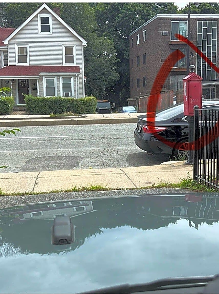 Image submitted with report