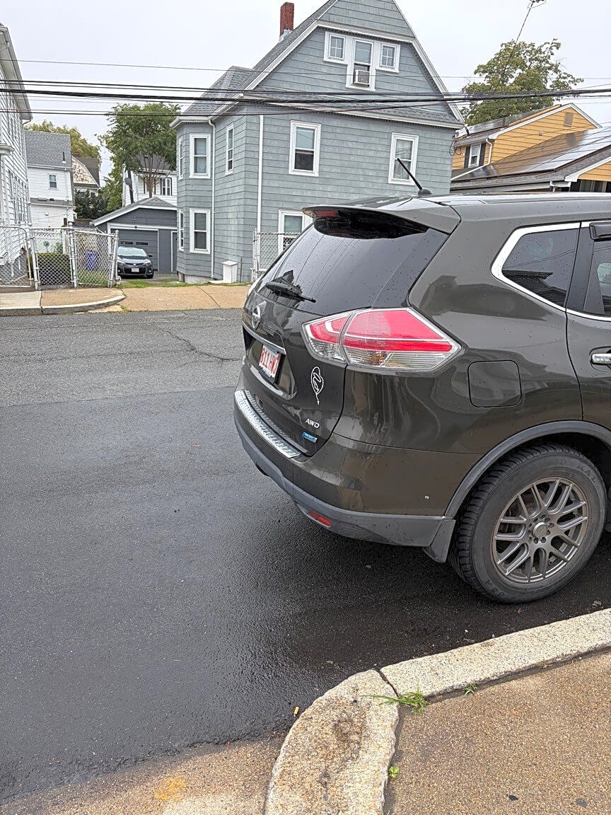 Image submitted with report