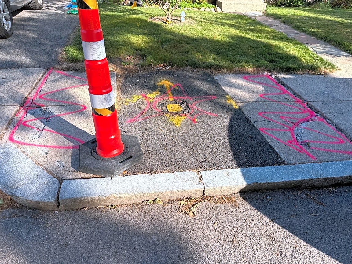 Image submitted with report