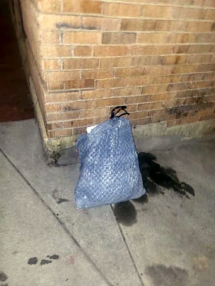 Image submitted with report