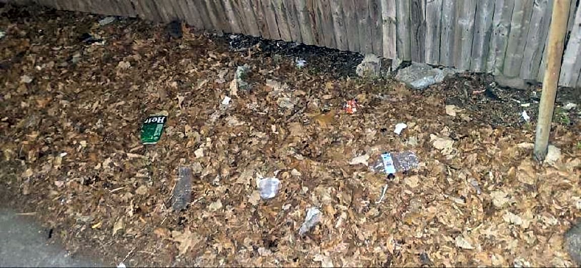 Image submitted with report