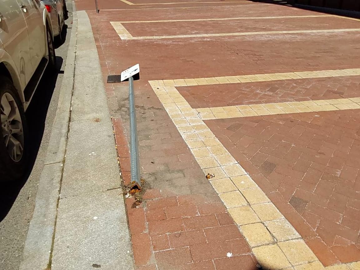 Image submitted with report