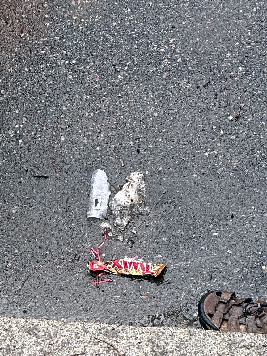 Image submitted with report