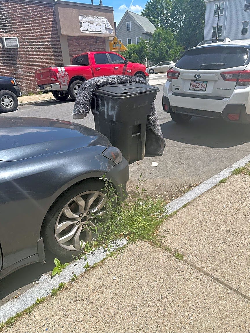 Image submitted with report