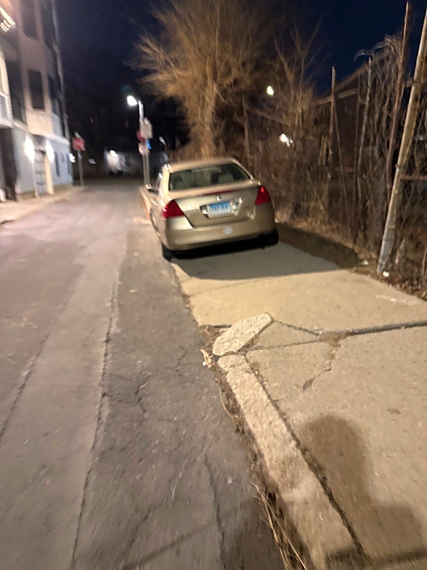 Image submitted with report