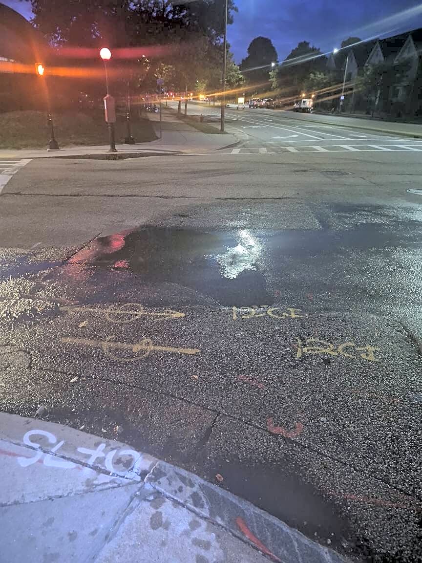 Image submitted with report