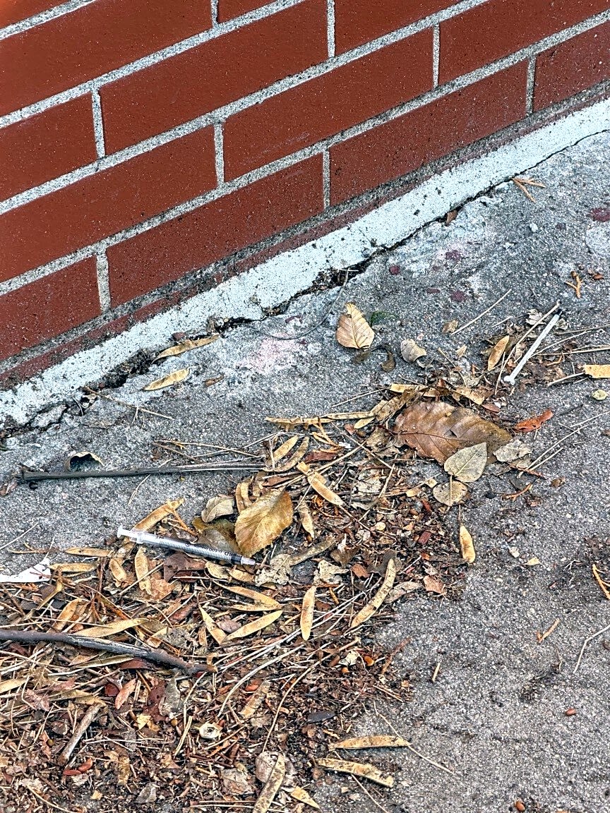 Image submitted with report