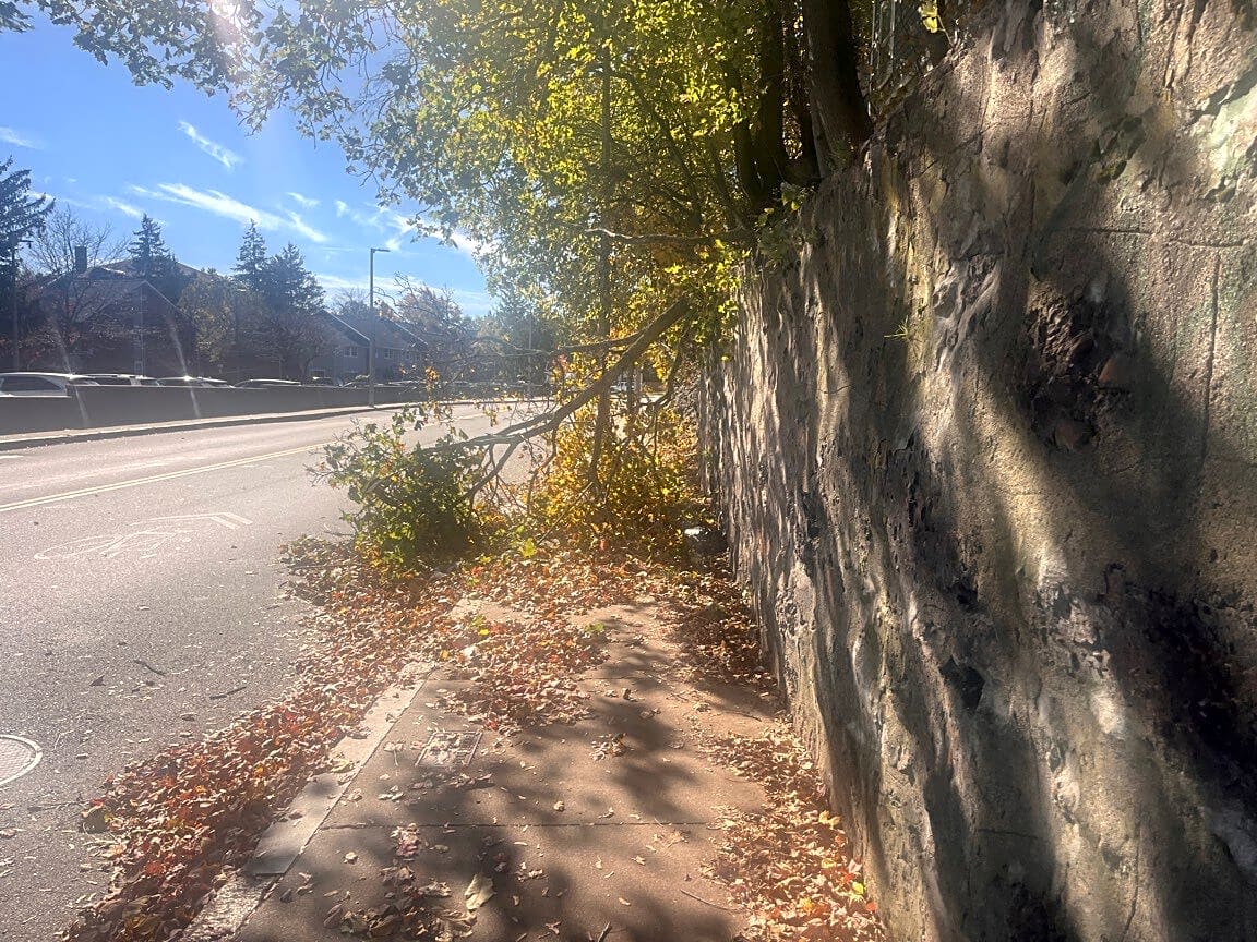 Image submitted with report