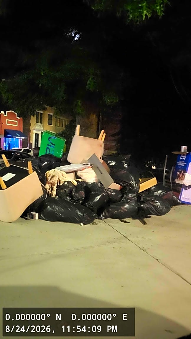 Image submitted with report