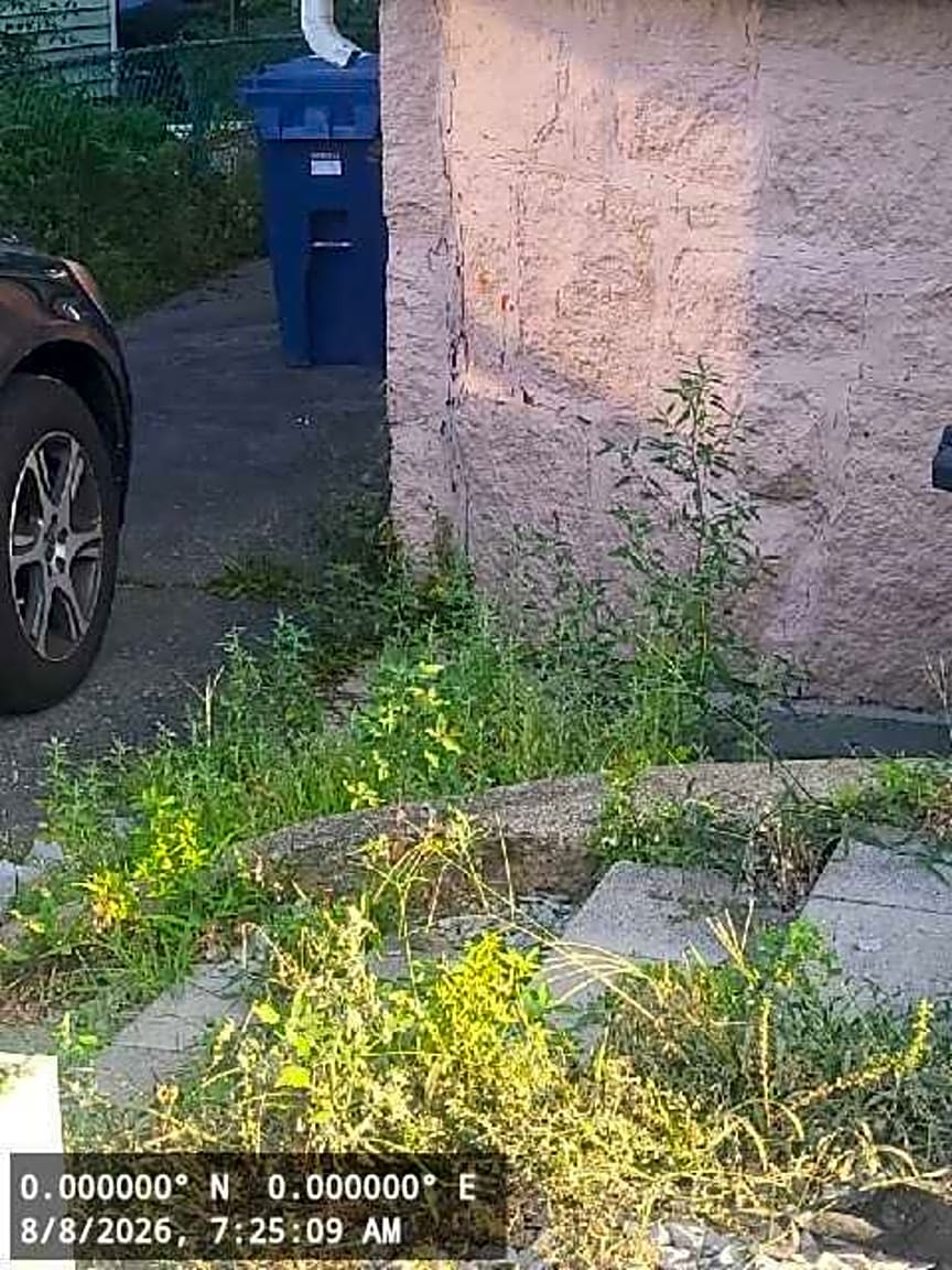 Image submitted with report