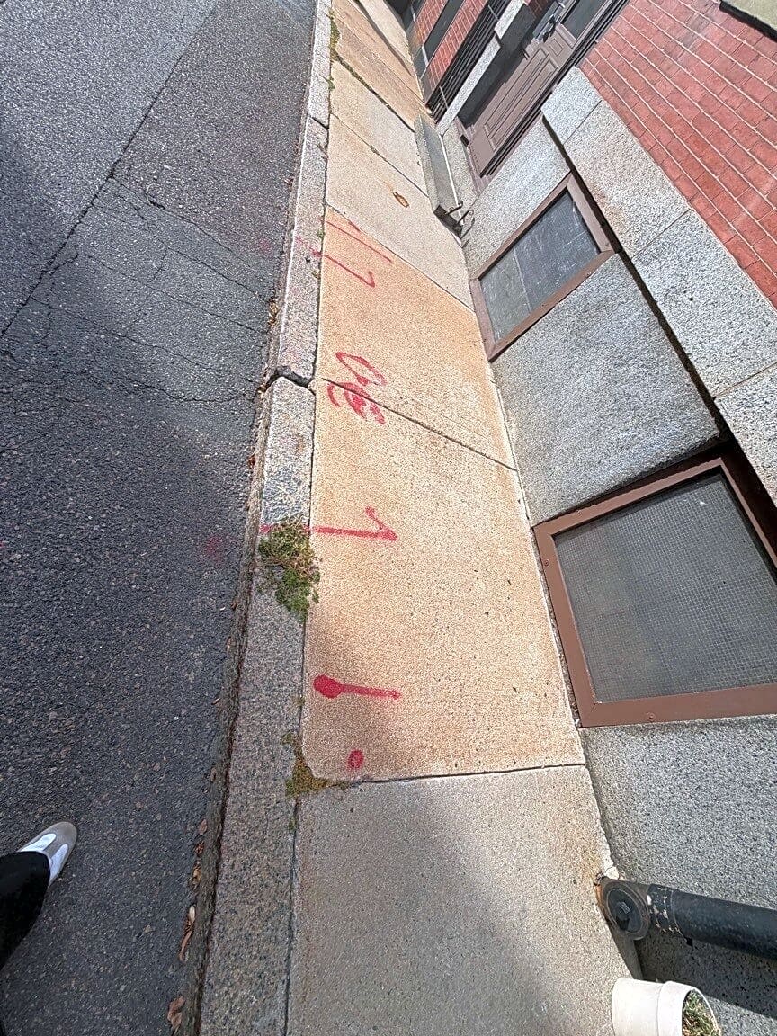 Image submitted with report