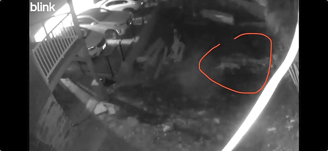 Image submitted with report