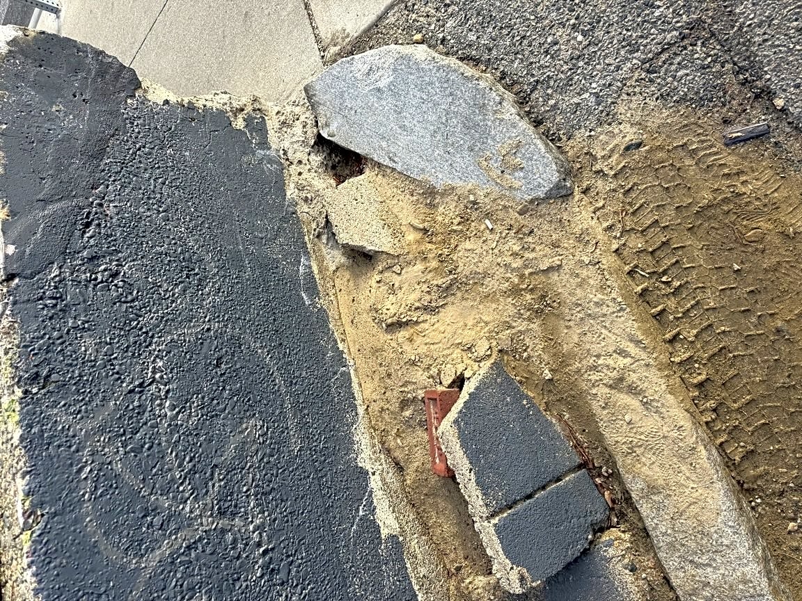 Image submitted with report