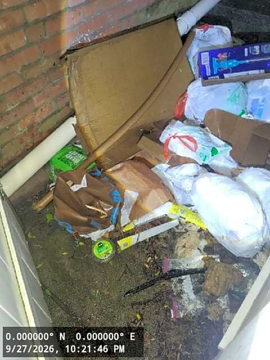 Image submitted with report