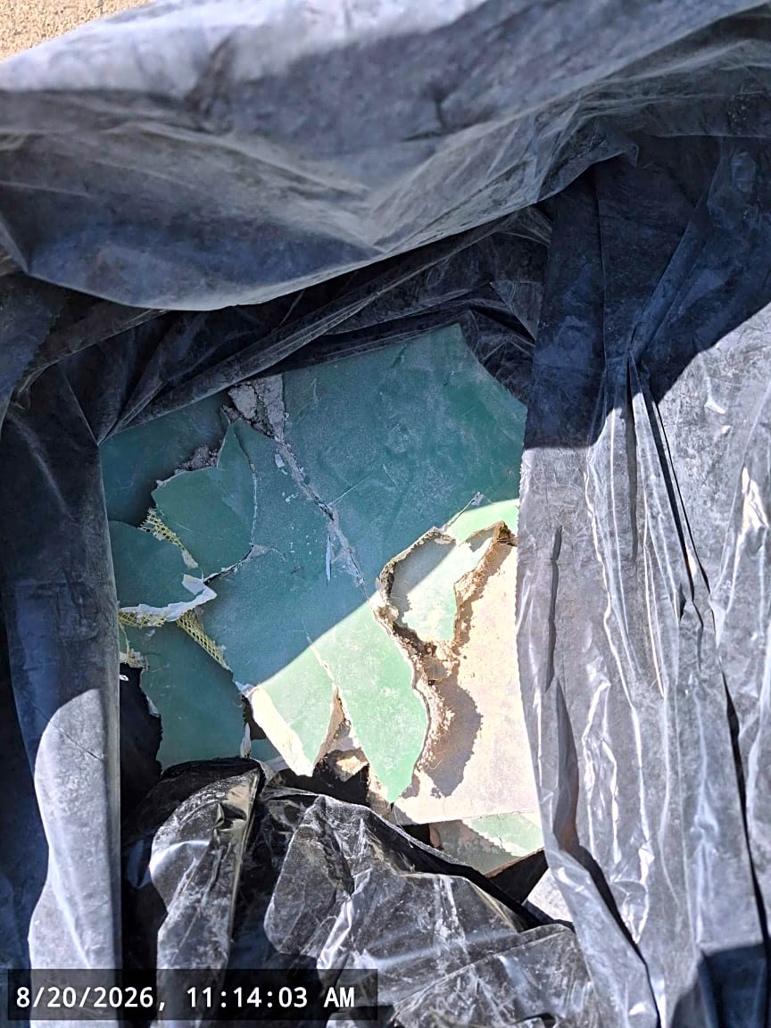 Image submitted with report