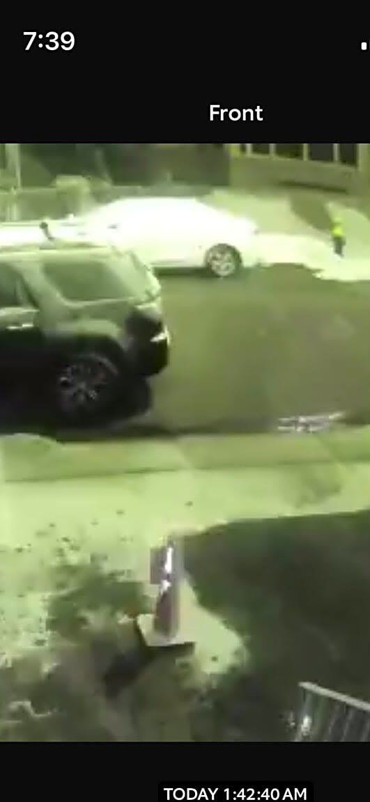 Image submitted with report