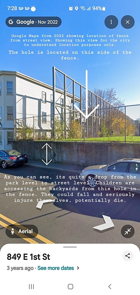 Image submitted with report