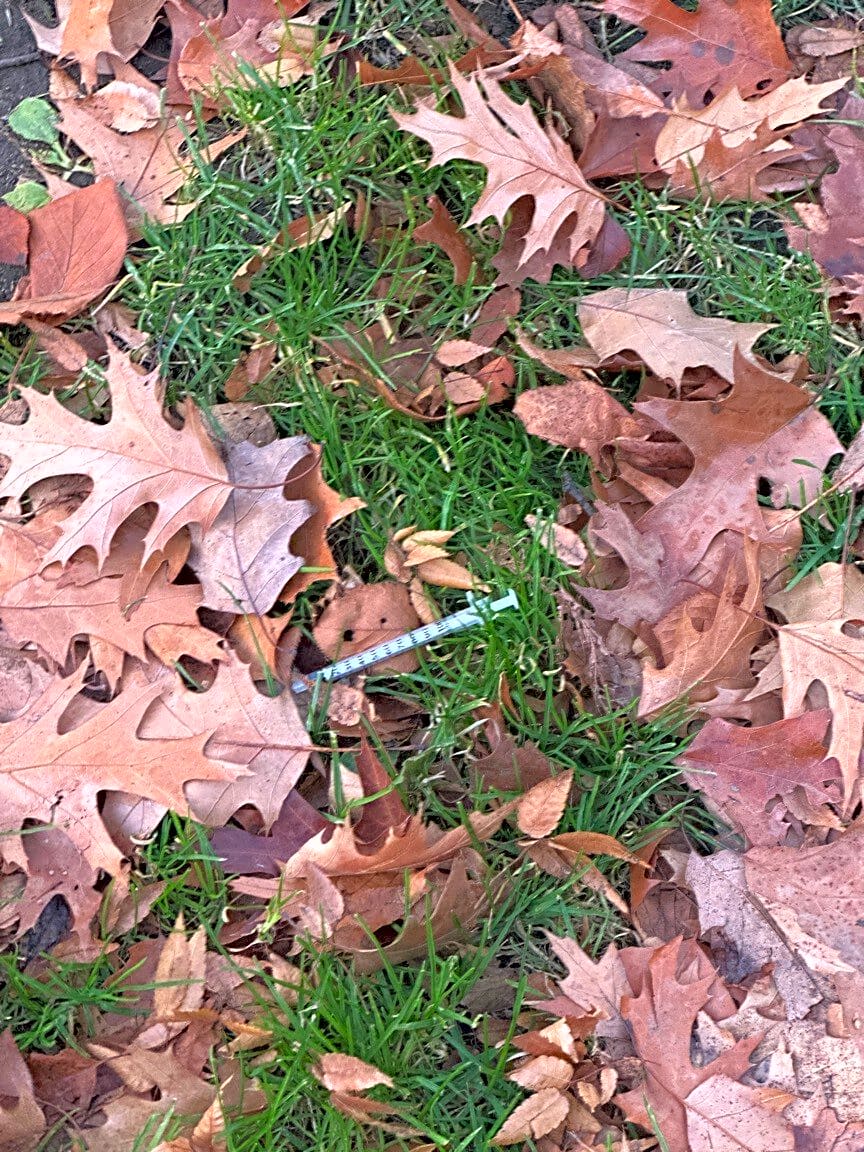 Image submitted with report