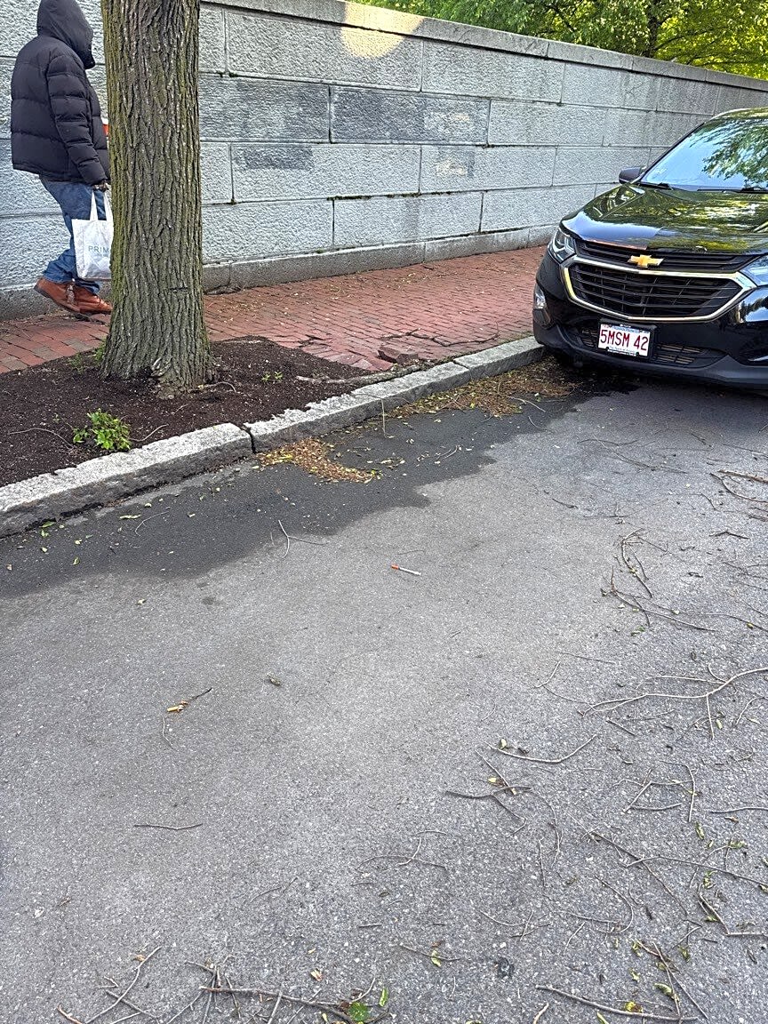Image submitted with report