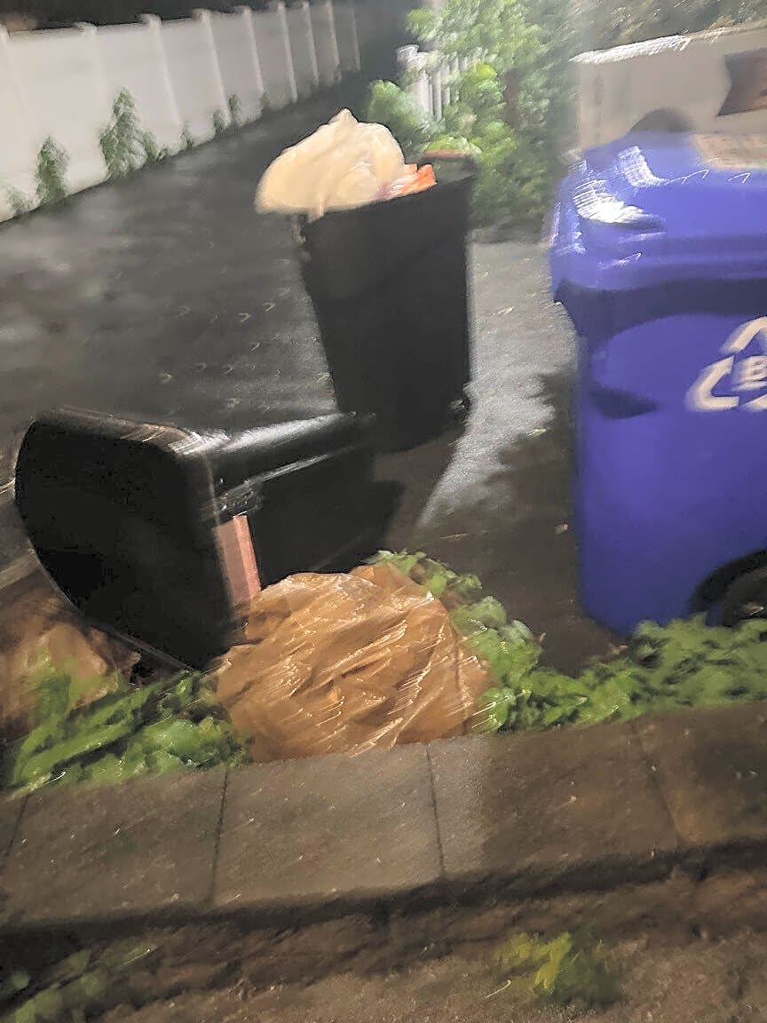 Image submitted with report