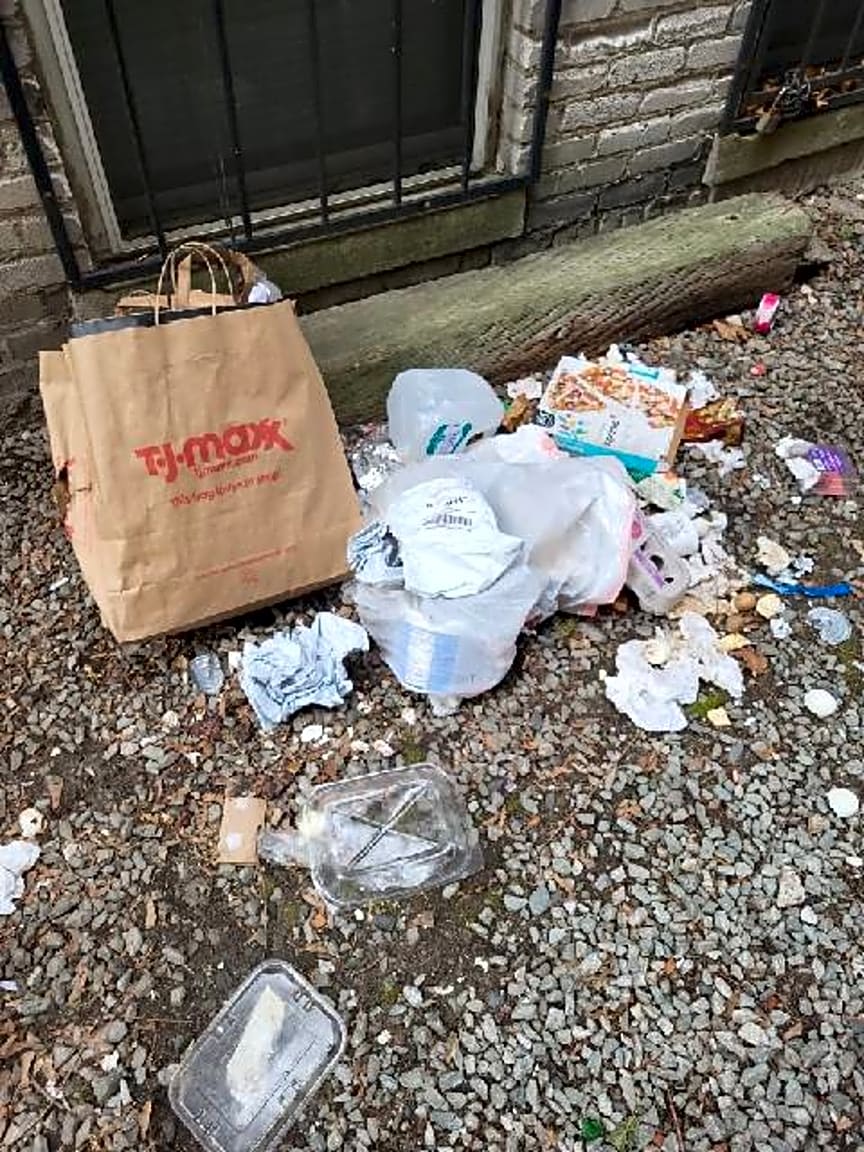 Image submitted with report