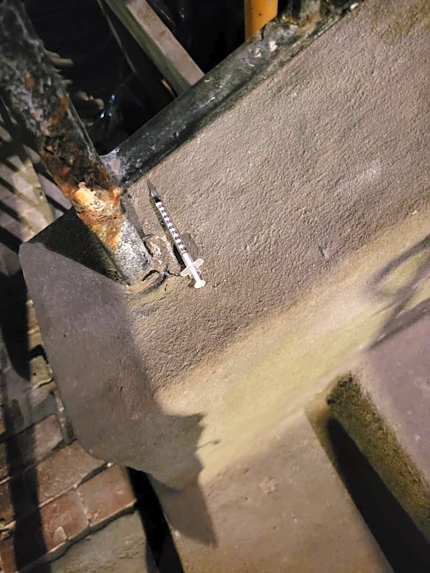 Image submitted with report