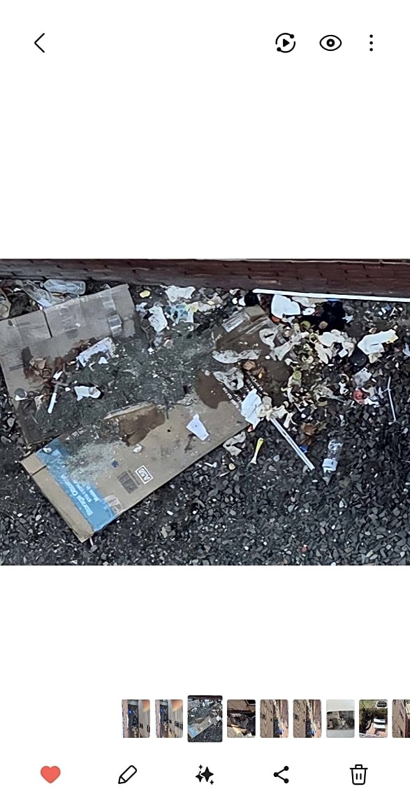 Image submitted with report