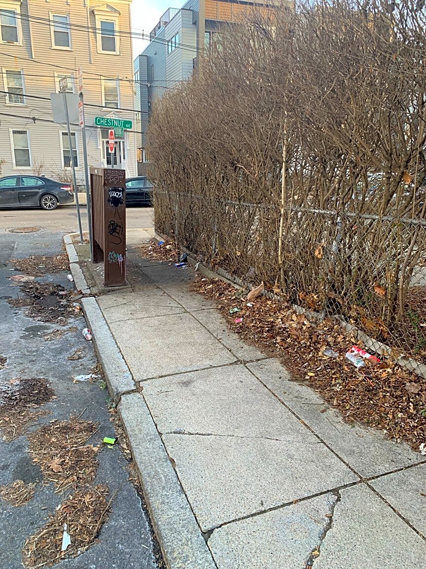 Image submitted with report