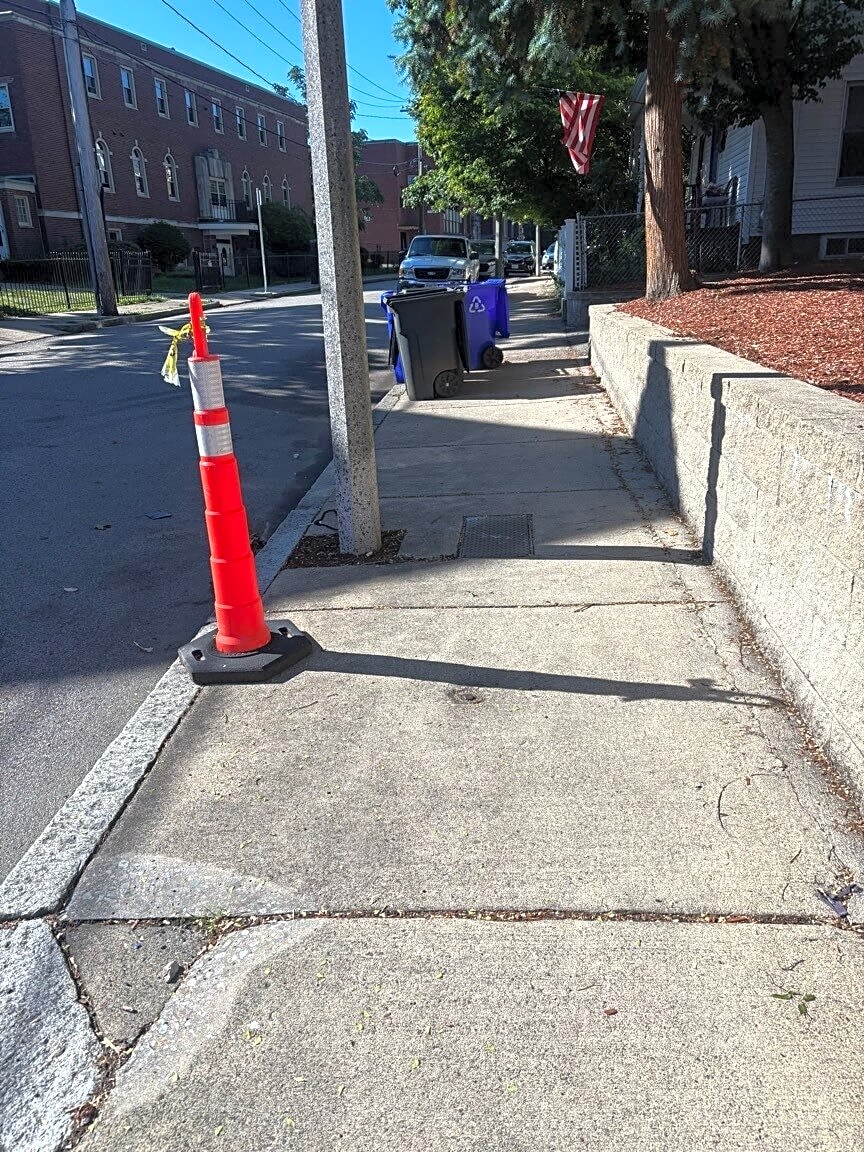 Image submitted with report