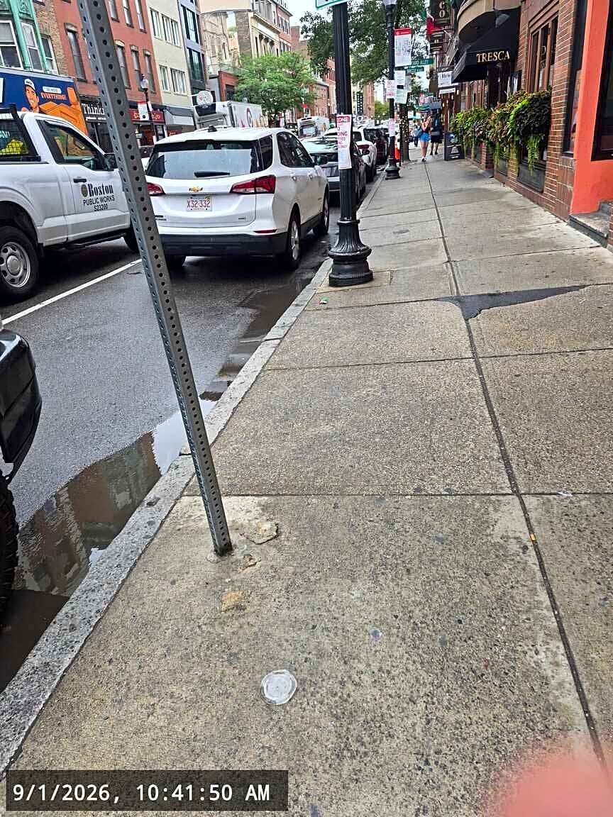 Image submitted with report