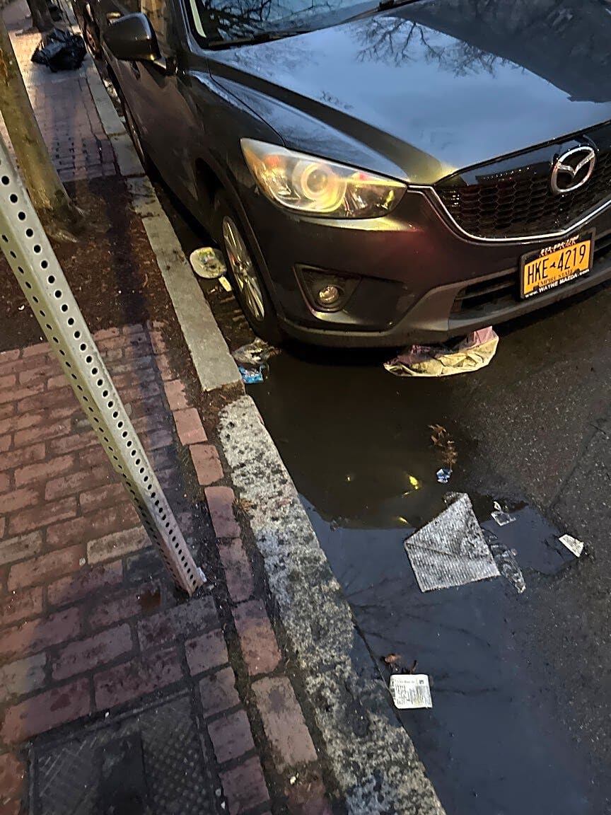 Image submitted with report