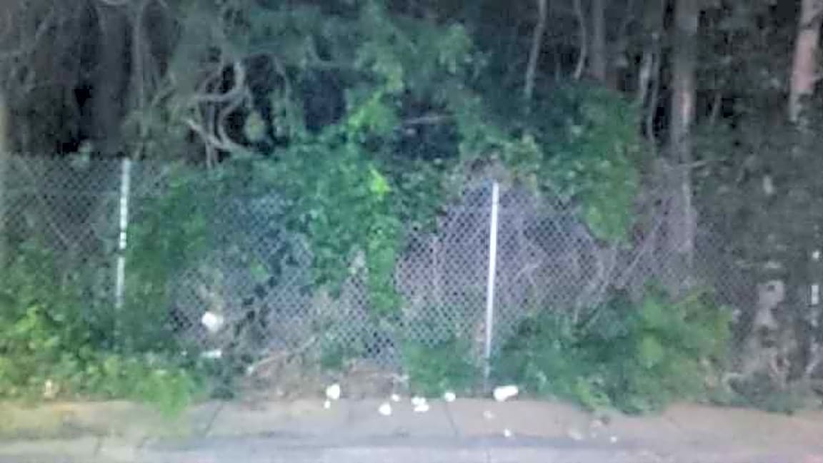Image submitted with report