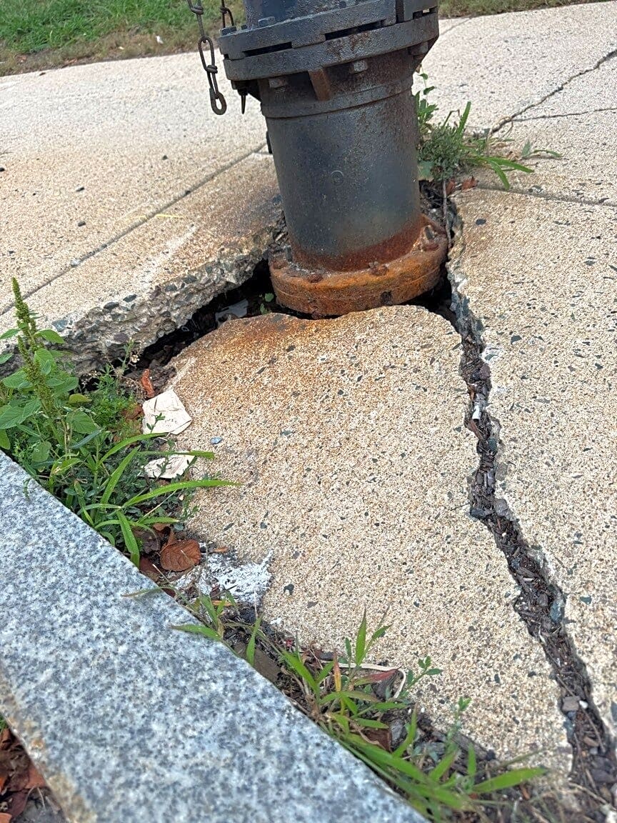 Image submitted with report