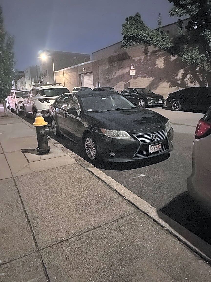 Image submitted with report