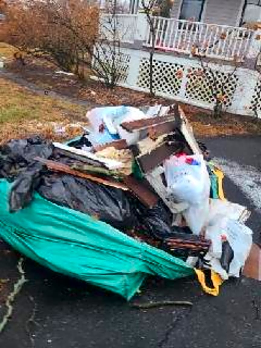 Image submitted with report