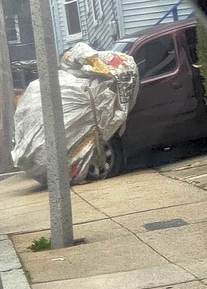 Image submitted with report