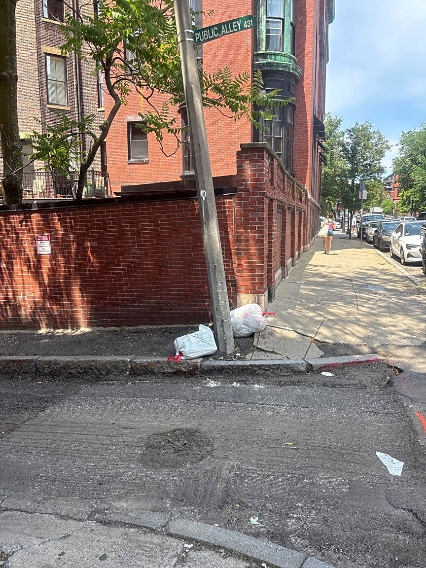 Image submitted with report