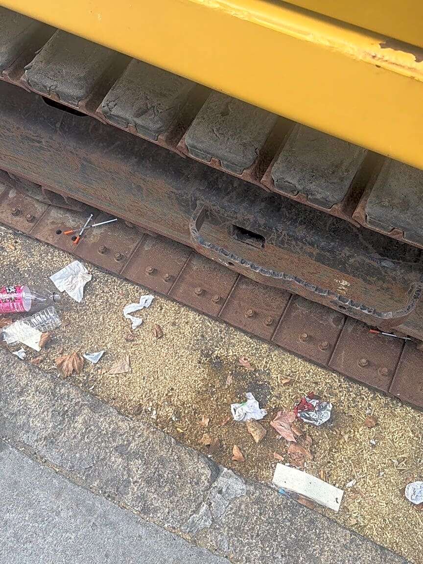 Image submitted with report