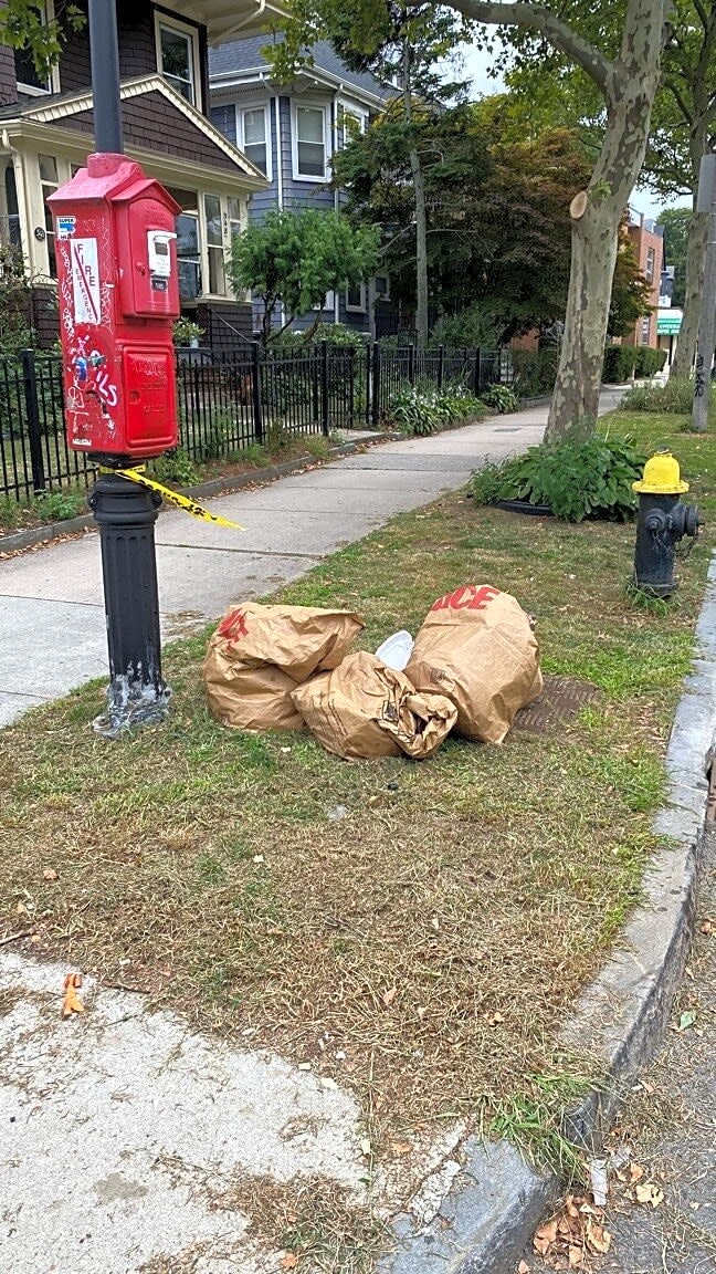 Image submitted with report