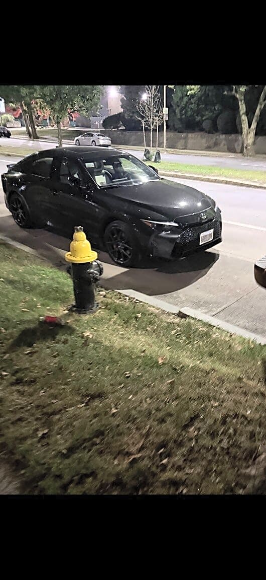 Image submitted with report