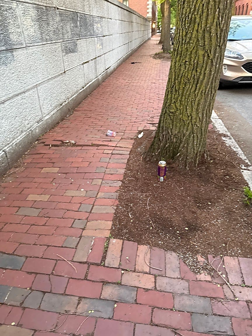 Image submitted with report