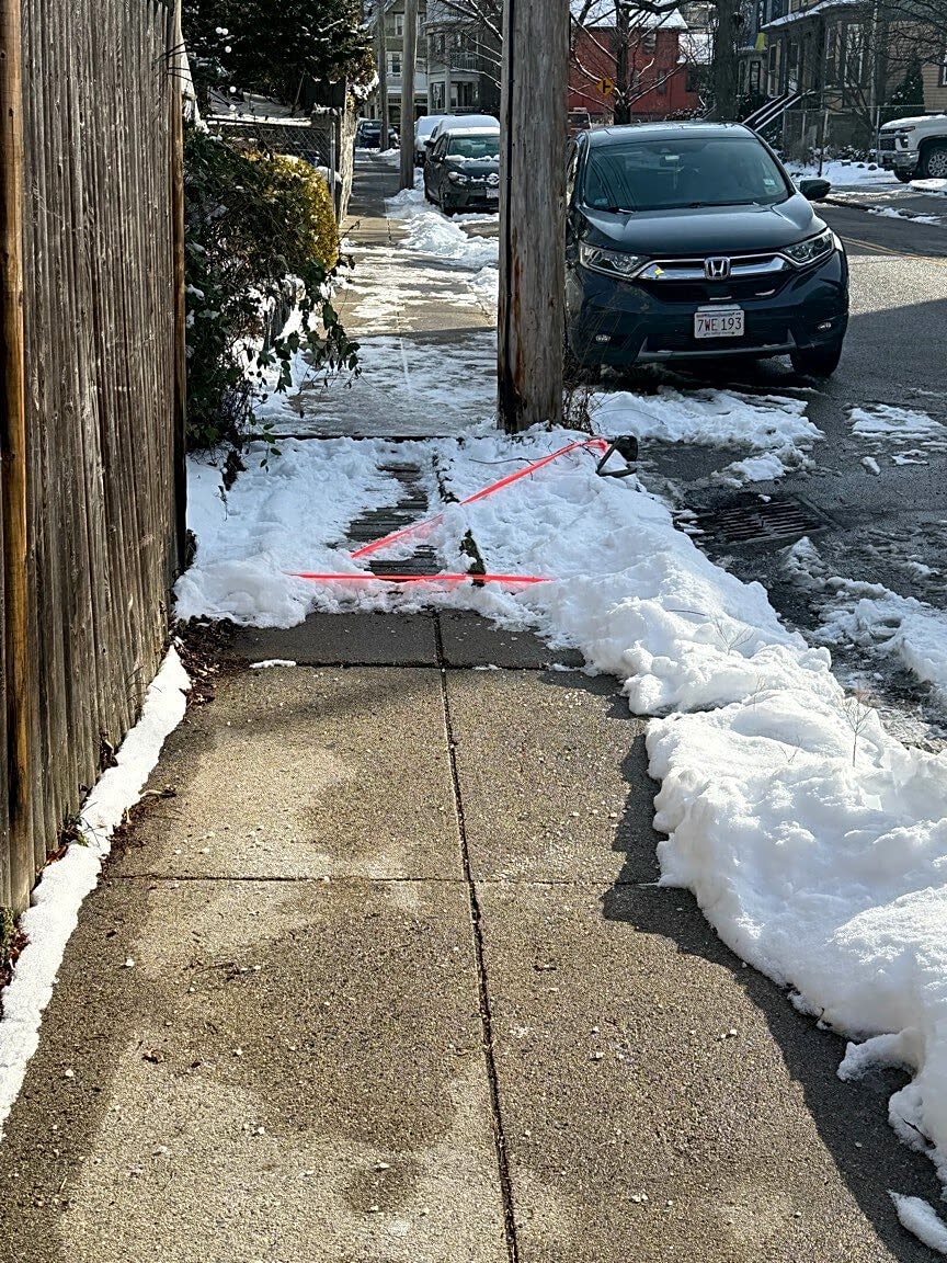 Image submitted with report