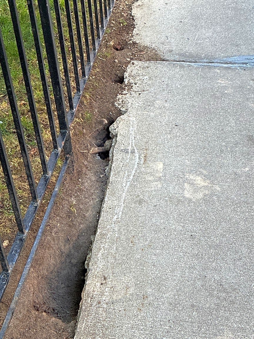 Image submitted with report