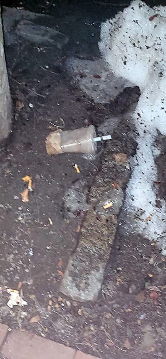 Image submitted with report