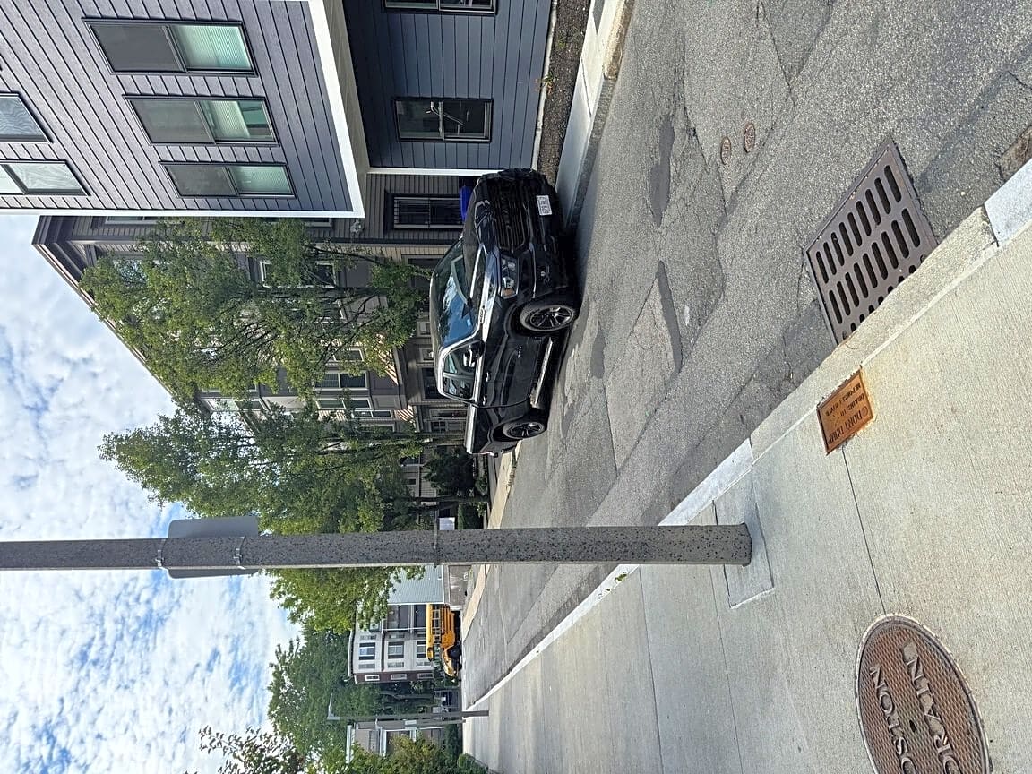 Image submitted with report