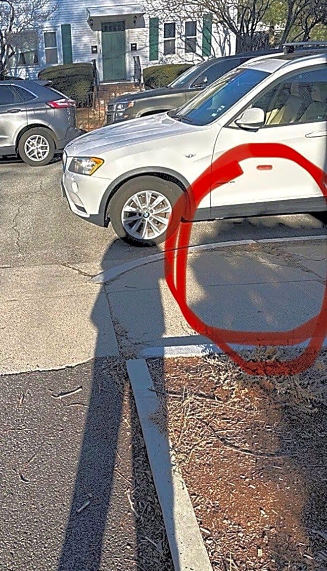 Image submitted with report