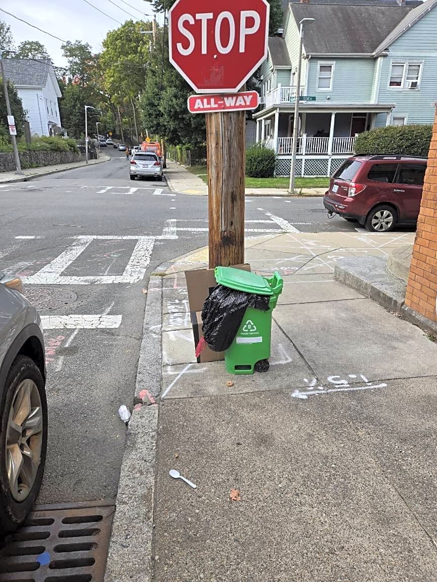 Image submitted with report