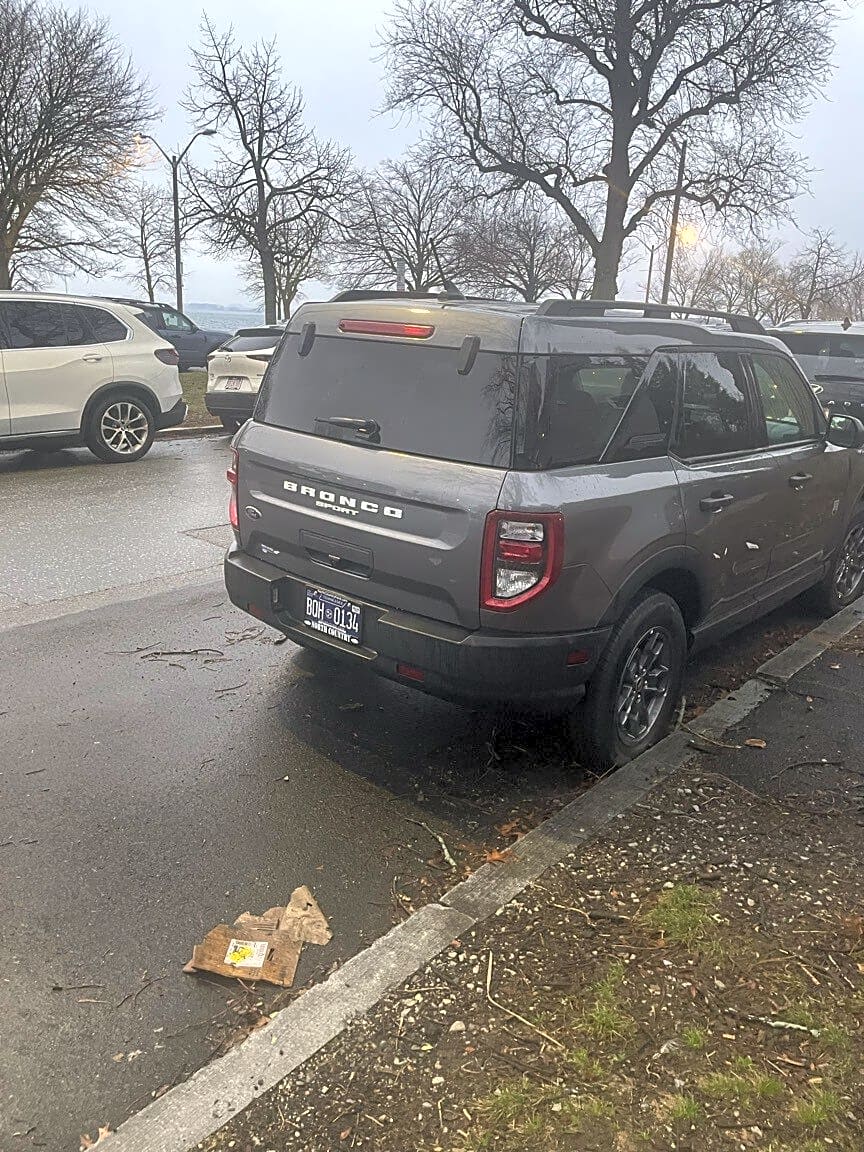 Image submitted with report