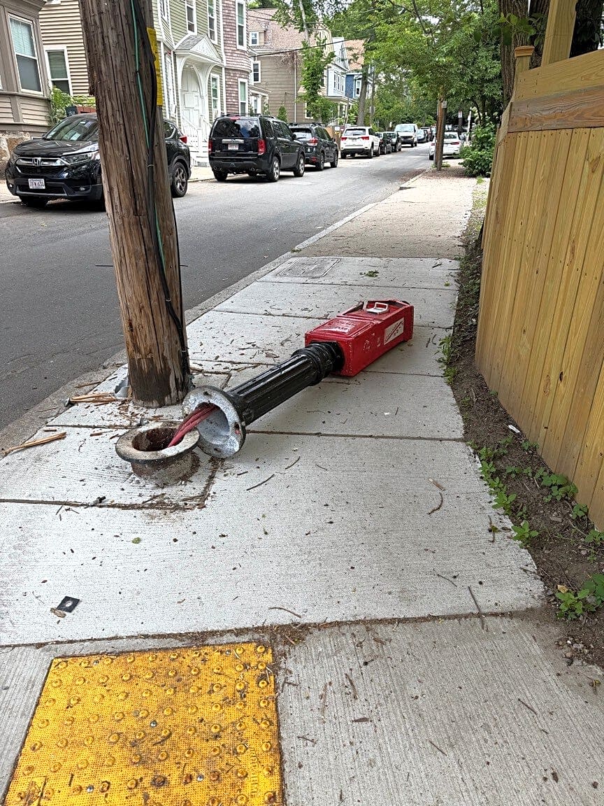 Image submitted with report