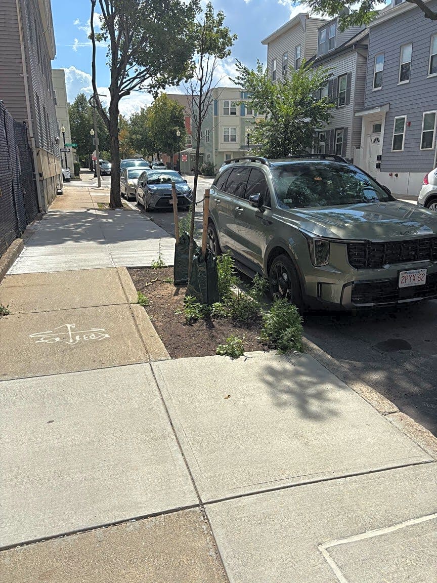 Image submitted with report